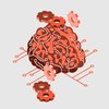 Deep Learning Engineer