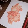 Персонажная иллюстрация